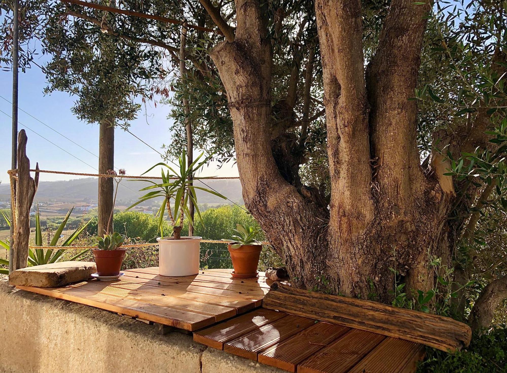 Villa Casa Anneli - Relaxing Under The Olive Tree à Aljezur Extérieur photo